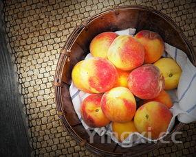 红烧排骨,肥牛金针菇,鲫鱼豆腐汤,红烧鸡块的做法