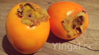 怎样做酥饼又脆又酥,一碰就掉渣的酥饼这样做