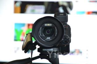 生滚鲜虾粥的做法,料超足鲜到炸裂的自制鲜虾时蔬粥