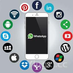 天津风味:狗不理包子,香软细腻的百年经典