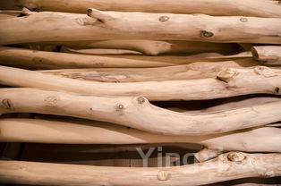 排骨怎么做会浓郁香甜?这道蜜汁排骨新吃法,详细教程一学就会