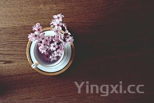 虾的吃法大全图解，虾的吃法大全
