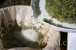 素炒饼丝的家常做法,跟着大厨学做素炒饼丝