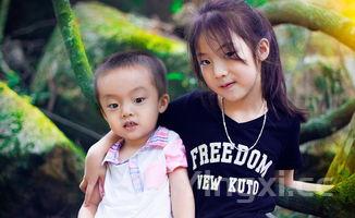 茶树菇鸡汤的做法,大厨教你做茶树菇炖土鸡汤鲜味美