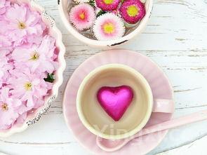 教你在家做干锅千页豆腐,香味浓郁,风味独特