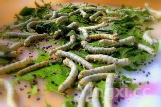 老式玉米面贴饼子的做法,这才是农家玉米面贴饼子