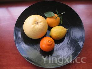蝴蝶面的做法，蝴蝶面的做法大全
