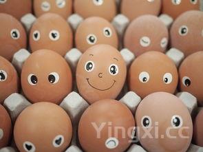 排骨米饭做法，排骨米饭做法步骤
