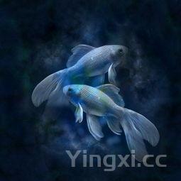 小鸡炖土豆的家常做法，土豆炖鸡最忌三种调料