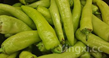 丝瓜瘦肉汤的家常做法,这道丝瓜肉片汤别错过