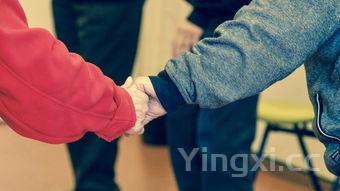 手撕杏鲍菇、素炒三丝、糖醋豆腐、蛋黄焗南瓜的做法