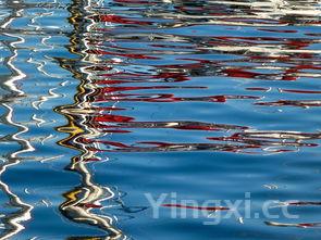 炒姜丝的做法大全,炒姜丝的做法