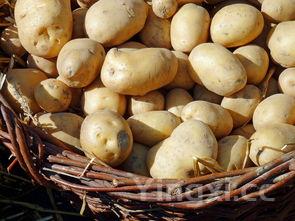 日式经典照烧猪排,香甜浓郁入味十足