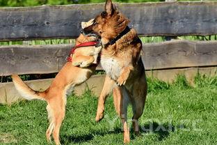 裙带菜蛋花汤的做法,10分钟做一锅的裙带菜花汤