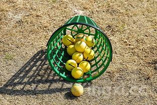 小茴香饺子馅的做法,茴香饺子的家庭做法