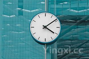 农家炖土鸡的做法大全,教你特色炖鸡汤的做法