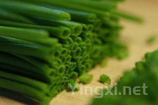 韭菜坨的做法大全，韭菜坨怎么做好吃家常做法?