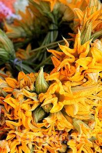 花瓜的做法大全家常，瓜花怎么吃法