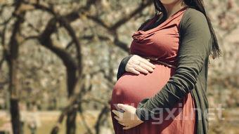 怀孕妇菜谱，孕期菜谱大全