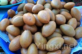 小仁鲜怎么吃，小仁鲜的做法大全