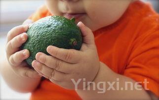 婴幼儿辅食食谱大全图片，婴幼儿辅食食谱大全