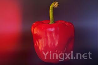 红辣椒制作的方法大全，红辣椒的做法及配方