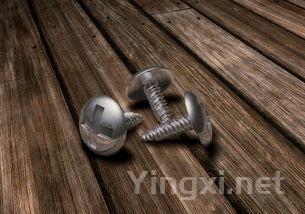 螺丝怎么炒好吃，螺丝怎么炒好吃又好吸