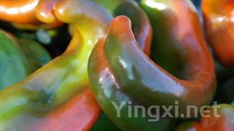 怎么样腌制辣椒好吃，怎么样腌制辣椒好吃视频