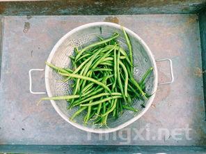 四季豆的做法大全家常，四季豆怎么做好吃家常菜视频