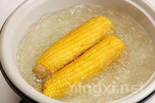 冬瓜虾皮汤的做法大全家常，冬瓜虾皮汤的做法大全
