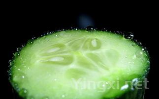 苦瓜炒黄瓜可以吗，苦瓜炒黄瓜的做法大全
