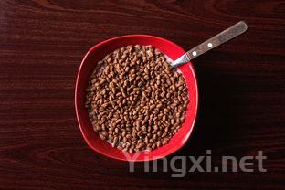 燕麦的图片是什么样?，燕麦片图片大全