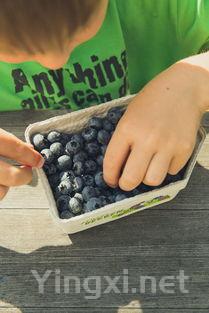 小溶豆做法，溶豆做法6个月宝宝入口即化