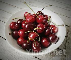 醋木的做法,醋木的做法大全