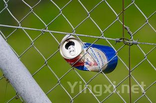 保护环境的做法，个人保护环境的做法