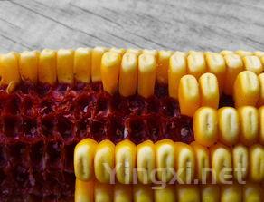 立夏后,少吃黄瓜柿子多吃它,它是“菜中珍品”,全身是宝,简单一炒,真鲜美!