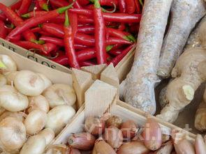 蘑菇饺子馅怎么调才好吃,教你蘑菇饺子馅最正确的做法