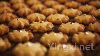 这菜健脾利湿、化痰散结 ,怎么做都好吃!