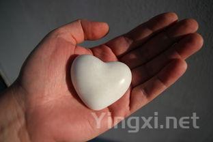 牛奶馒头的做法大全,这道奶香小馒头你需要拥有