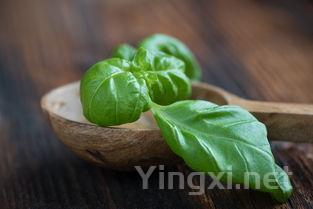 苦瓜汤的家常做法,苦瓜汤这样做甘甜清润鲜香