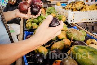 姊妹团子：甜蜜共享的美食记忆