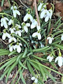裙带菜蛋花汤的做法,10分钟做一锅的裙带菜花汤