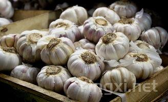 黄瓜只会用蒜拌?教你5个做法,一上桌就抢光