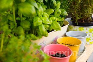 菠菜这样拌一拌香迷糊了,大人孩子都爱吃!