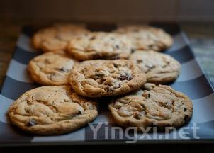 里脊肉饼的做法大全,里脊肉饼怎么做才好吃