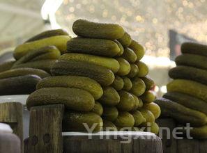 黄瓜这么炒太好吃了,做法简单又好学,爽脆可口又解馋