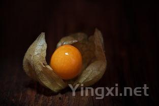 蜜汁山yao的家常制作方法,蜜汁山yao饼怎么做好吃